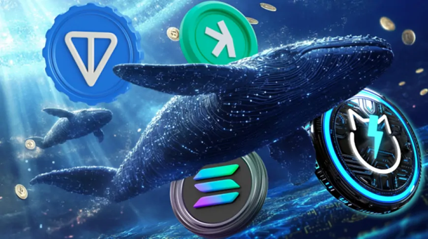 How Crypto Whales Plan To Win Big With Solana, Kaspa, Toncoin, And JetBolt In Altseason