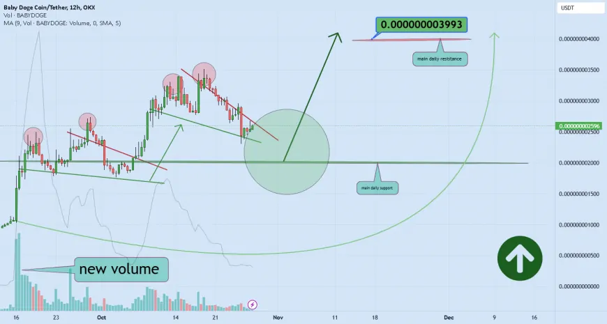 BABY DOGE COIN more gain expected