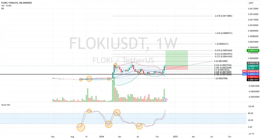 Just for me - Floki W1 fib & RSI push