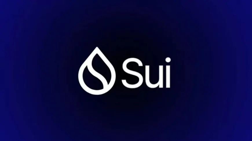 Has Sui (SUI) Crashed? No Trading on the Network for 50 Minutes! Price Dropped!