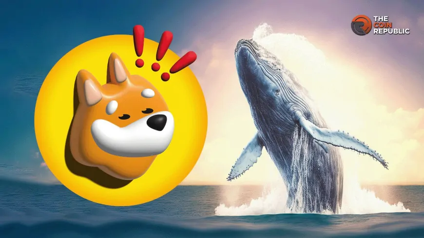 Whales Fuel BONK Price Surge With Big Buys