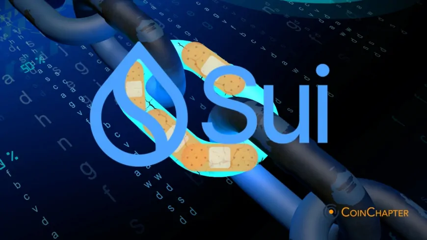 Sui Blockchain Recovers After 2-Hour Outage, Bug Fixed