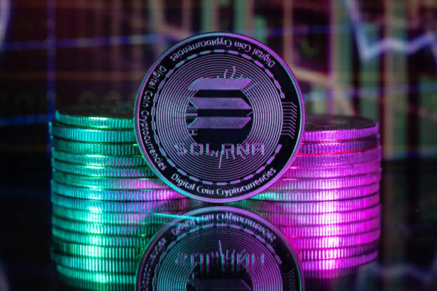 Solana On-Chain Activity Skyrockets As Transfer Volume Hits Record-Breaking Heights