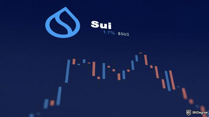 Sui Network Faces a Major Outage – Can the ‘Solana Killer' Rebound?