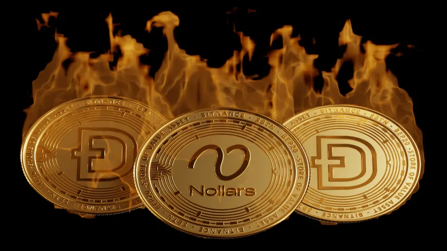 Dogecoin & Pepe Can Make Millionaires in 2025; Nollars Token Presale Can Do The Same