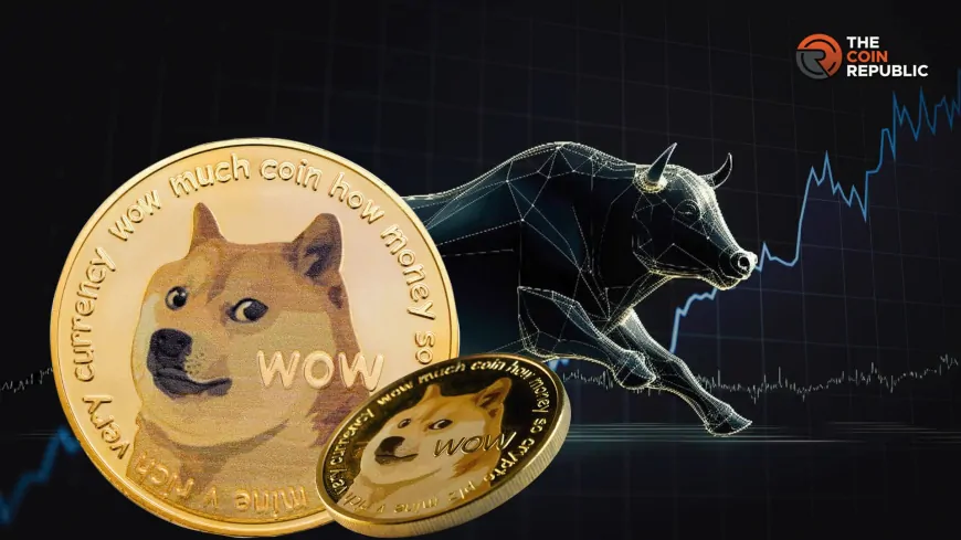 DOGE Hidden Bullish Divergence: Here's What It Means