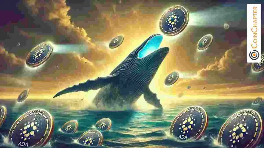 Cardano (ADA) Hits 2.5-Year High as Whales Pour Billions Into the Token