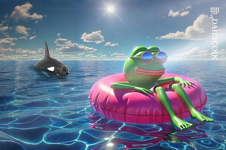 Whales Bag PEPE, MOG Coin In Bulk: No More Fear, Just Greed?