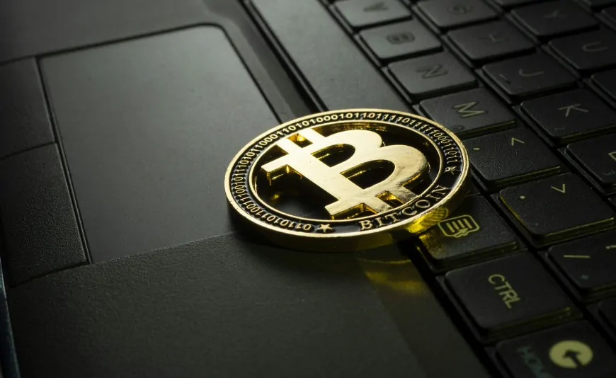 Bitcoin's Social Media Speculation Heats Up, What's Driving The Hype?