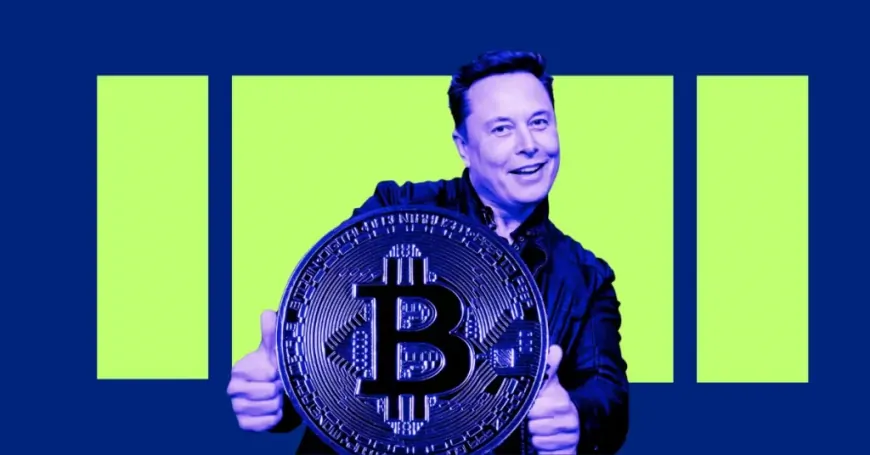 Elon Musk Warns U.S on Brink of Bankruptcy : Can Trump's Bitcoin Reserve Plan Fix It?