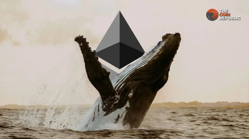 Whale Buys $80.6M Worth Of Ethereum: Is ETH Price Likely To Rally?