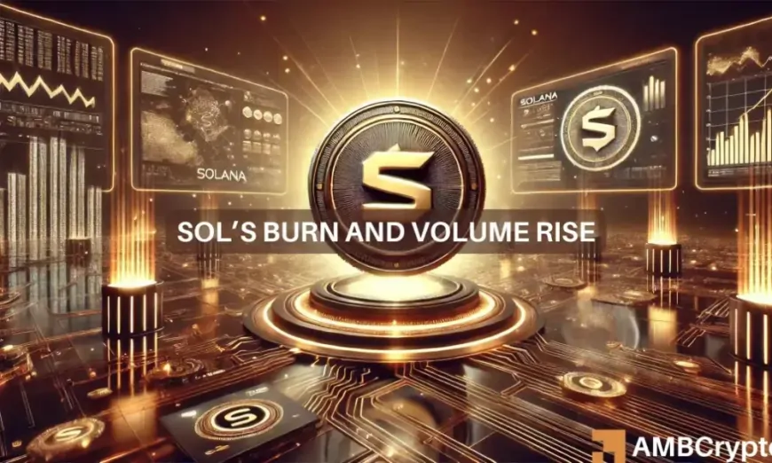 Solana: What are the 2 major factors helping SOL's price soar?