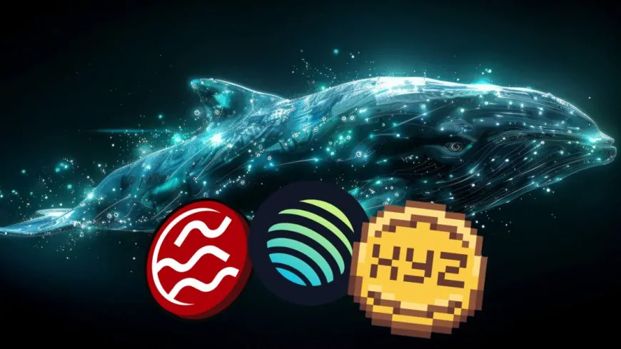 Whales Are Stocking Up on SEI, Jupiter, and XYZVerse—Skyrocketing Potential Ahead!