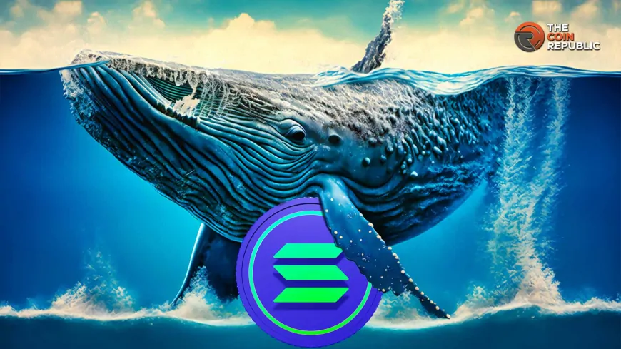 Will Solana ETFs and Whale Accumulation Sustain ATH Surge to $300?