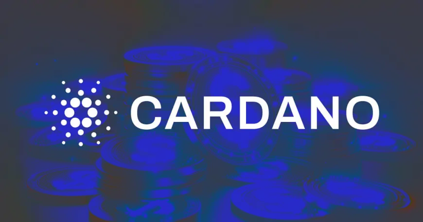 Cardano's Charles Hoskinson vows legal action over Wyoming stablecoin snub