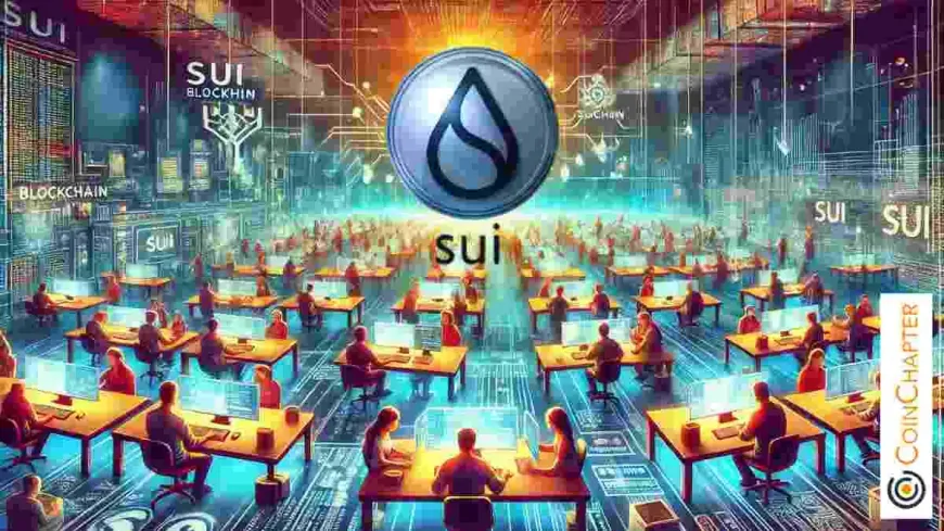 Sui Blockchain Gains Ground as Developer-Friendly Platform