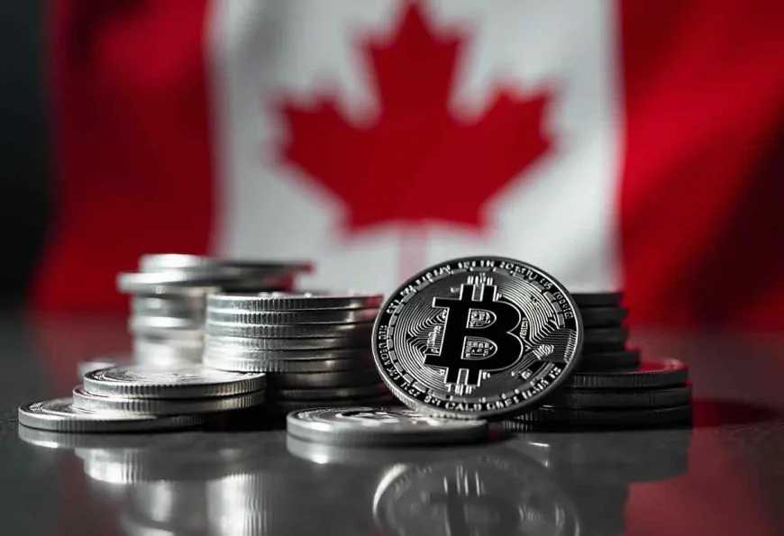 Canadian Wellness Firm Jiva Technologies to Add $1 Million in Bitcoin to Treasury