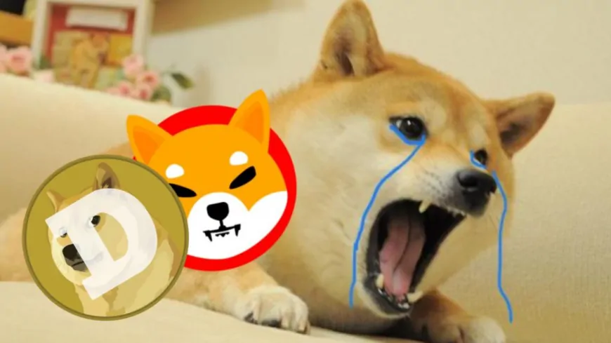 Crypto Analysts Back This $0.000667 Token—A Potential Meme Sensation Ready to Surpass DOGE and SHIB by 2025!