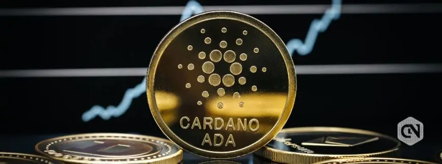 Cardano Price Healthy Retracement Sets Next Leap to $1.5