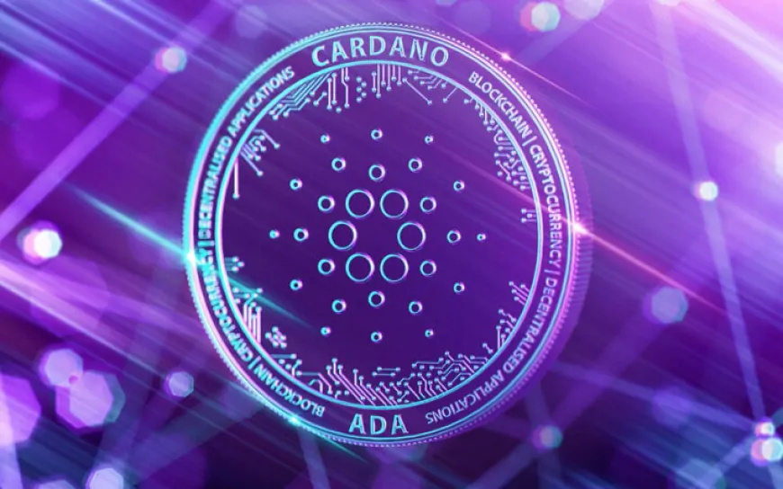 Cardano (ADA) Price Close to 50% Rally Soon Catalyzed by Whale Traders