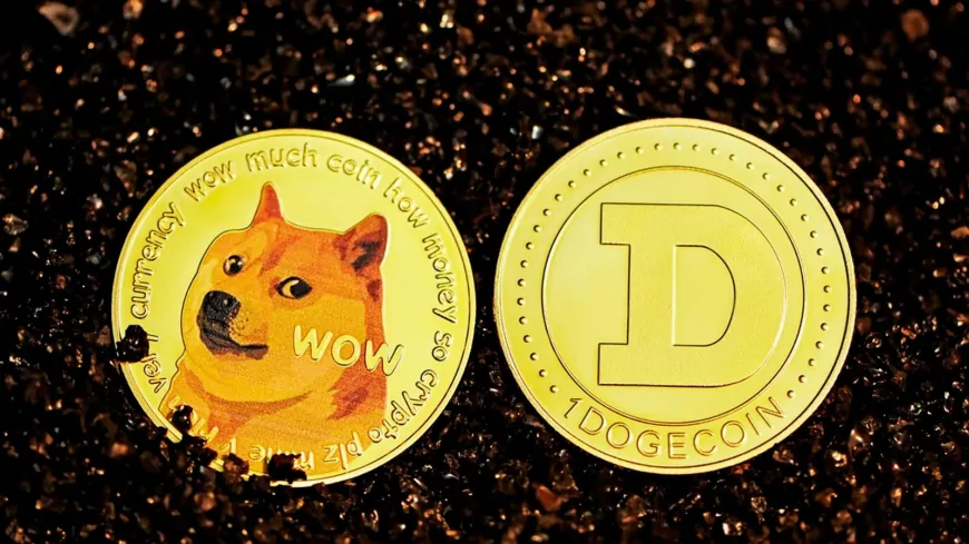 Giant Company Dogecoin (DOGE) Announced Its Decision! 'It Will Be a First!'