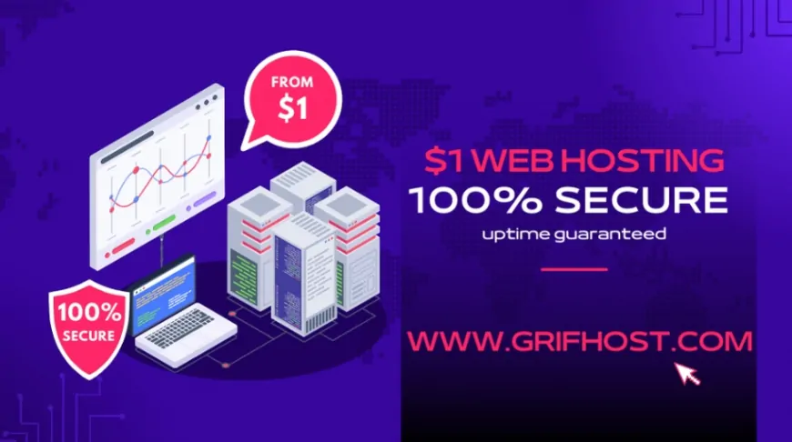 The Comprehensive Guide for Getting Inexpensive Website Hosting and Domain Registration Using PayPal, Perfect Money, Bitcoin & USDT