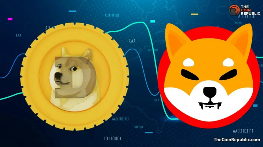 Shiba Inu Price Trend Mirrors DOGE's Historic Rally & A New Altcoin Eyes $0.8 Mark