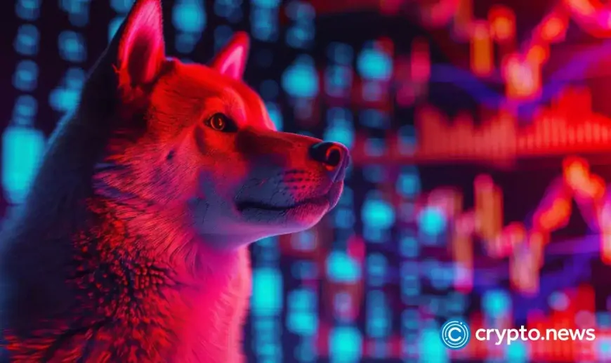 SHIB faces challenges as this “Dogecoin killer” captures market attention