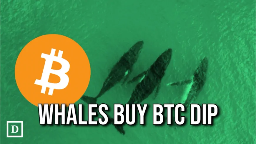 Bitcoin Nears $100,000 as Whales Snap Up $1.5 Billion