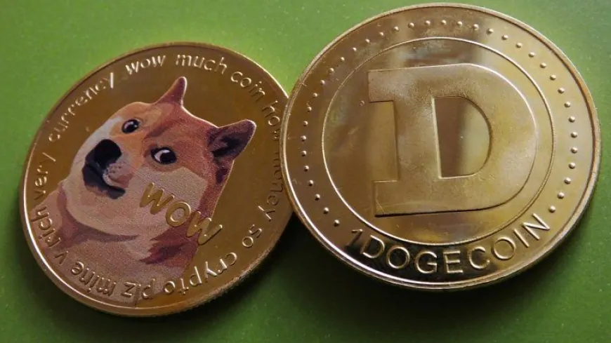 DOGE Nears 50 Cents as Meme Coins Dominate