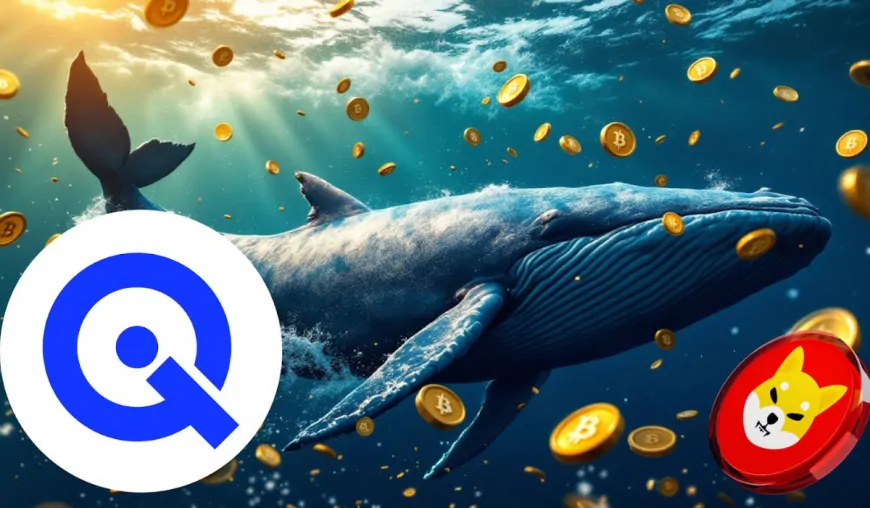 Crypto Whales Move Into WallitIQ (WLTQ) For 43,805% ROI By January, Can SHIB Climb To $1 In 2025?