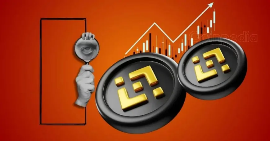 Binance (BNB) On-chain Data Eyes To Hit $1000 This 2024?