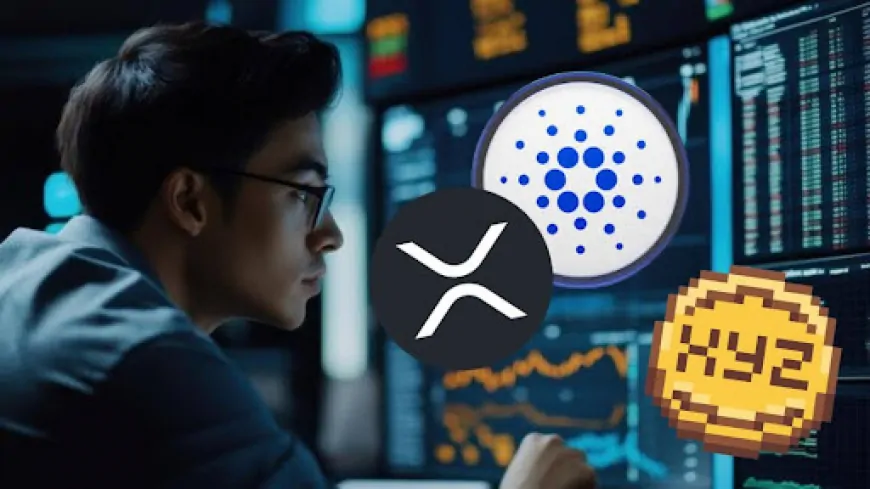 The Analyst Who Called XRP's $2.5 Surge Says It's Stable, With Cardano and XYZVerse Leading the Charge!