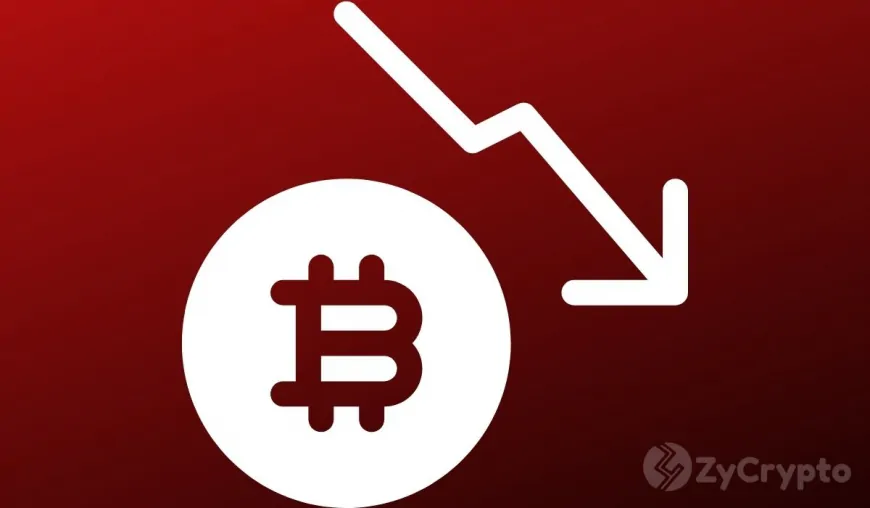 Fear Looms Over Potential Bitcoin Price Dip After United States Govt Moved 19,800 BTC