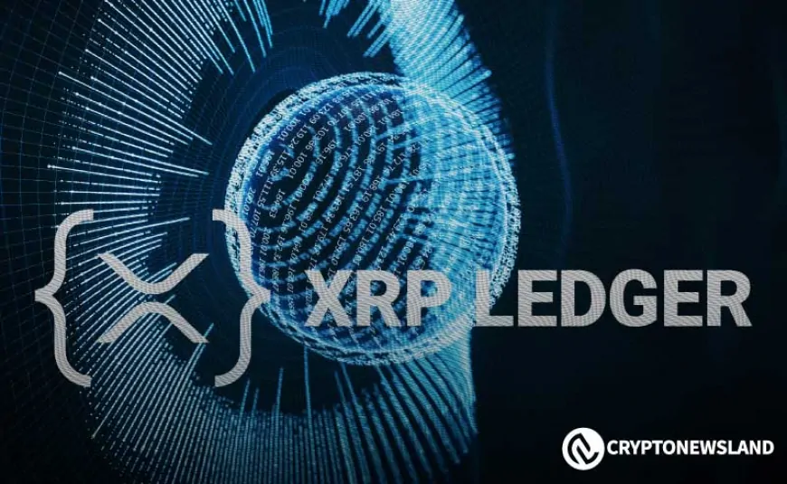 XRP Ledger to Adjust Transaction Fees as RippleX Pushes for Network Upgrades