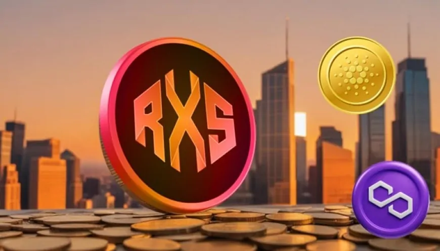 Should You Invest $2000 in Cardano (ADA), Polygon (POL), and Rexas Finance (RXS) Today? Here's How Much You Could Make in 6 Months