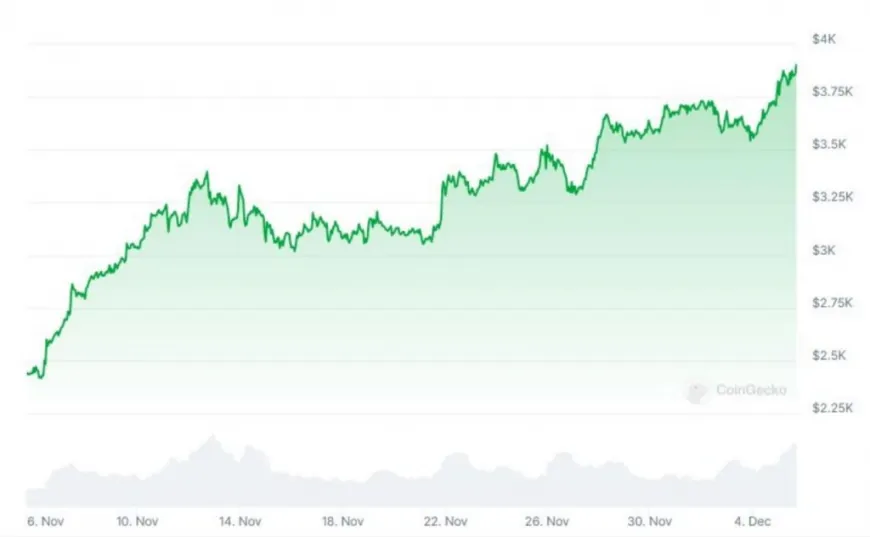 Why Is The Price of Crypto Going Up? Understanding Why Bitcoin, Ethereum and Solana Are Up