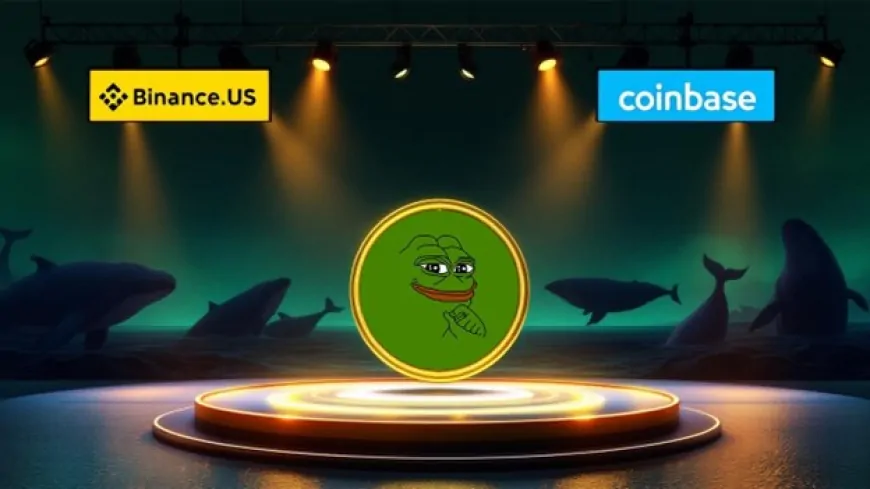 Binance.US And Coinbase List PEPE, And Whales Buy 337M. A New ATH Coming?