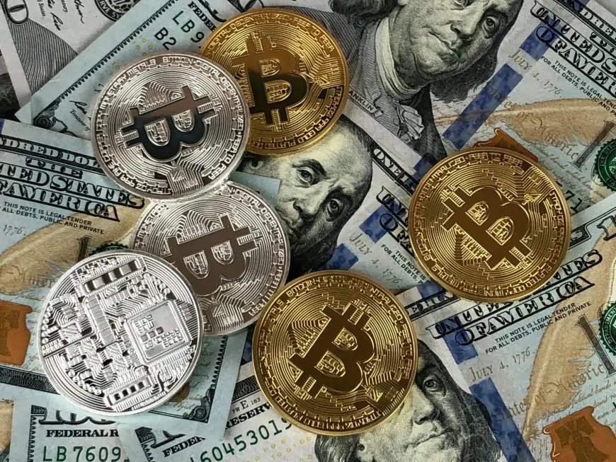 Bitcoin Could Threaten U.S. Dollar Stability, Warn Economist