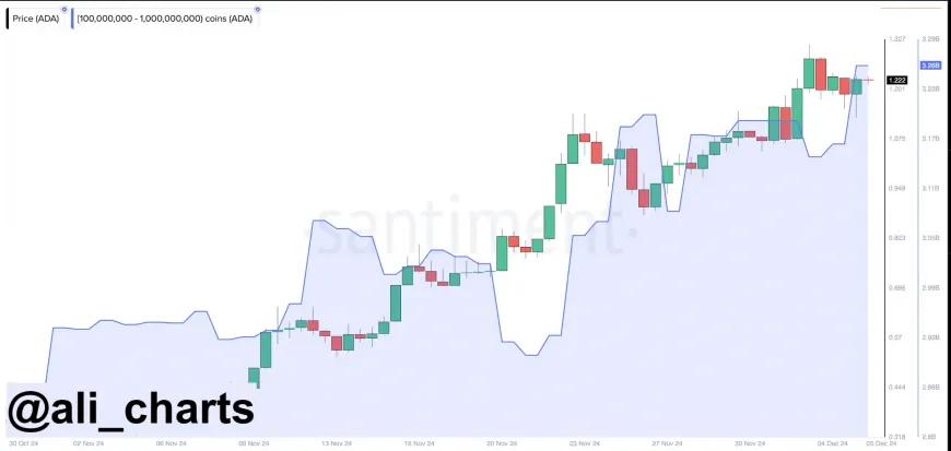 Cardano Whales Accumulate Over 100 Million ADA Amid Price Consolidation and Technical Indicators Suggesting Potential Volatility