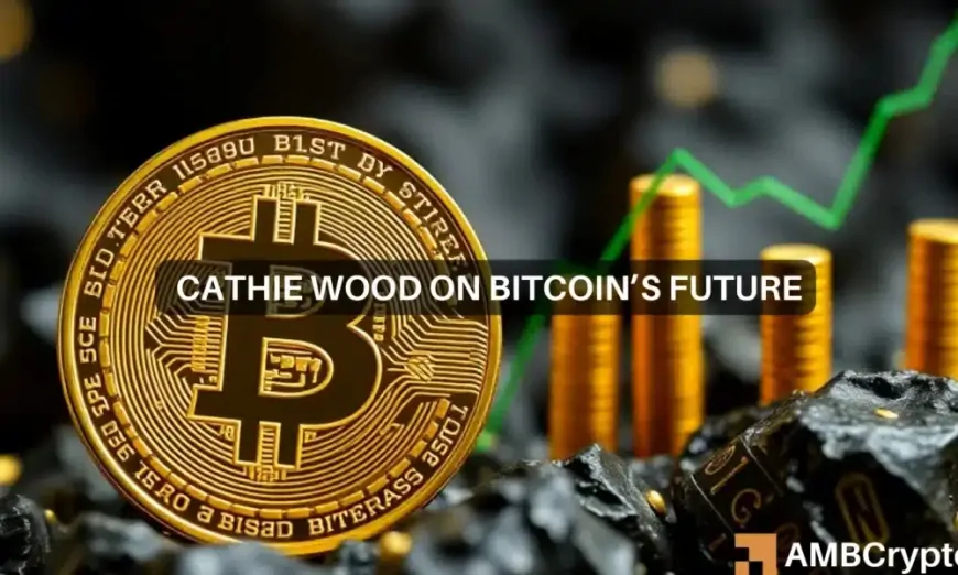 Cathie Wood says ‘Bitcoin still is in early innings' as BTC crosses 100k