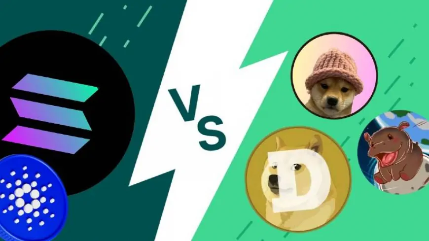 Memecoins or Altcoins? Top 4 Picks to Watch Including XYZVerse, Dogecoin, Cardano, and Solana