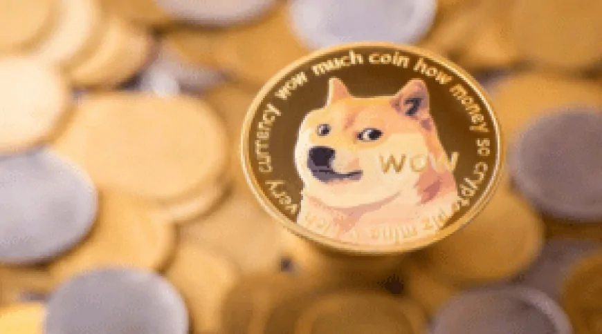 DOGE Pumps Again But Veteran Investors Focus On New Meme Coin Presales