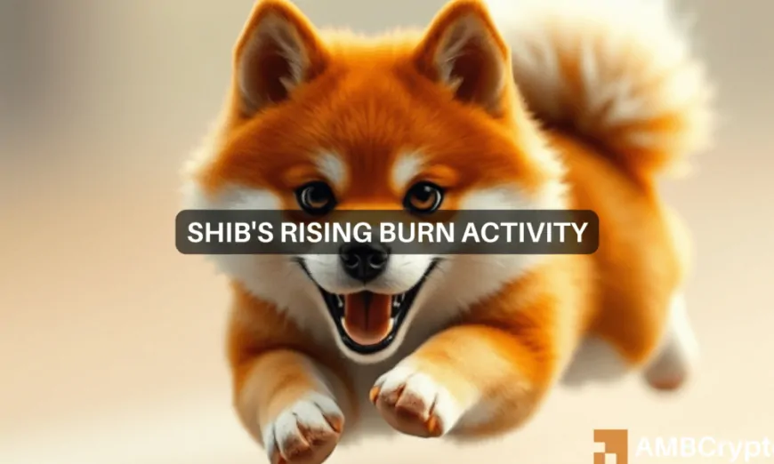 Shiba Inu: Is SHIB a safe bet in December? Assessing…