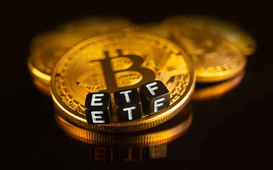 US Spot Bitcoin ETFs Surpass Satoshi Nakamoto, Becomes World's Largest Bitcoin Holder