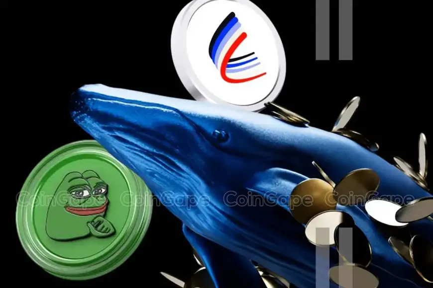 Crypto Whale Bets Big On Pepe Coin, AERO, & This Coin, What's Next?