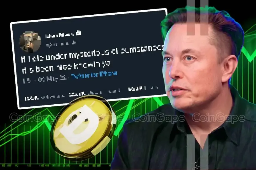 ‘Doge Father' Elon Musk Shares Cryptic Post, Dogecoin Soars