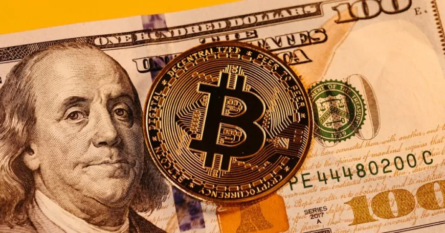 Economist And Crypto Critic Reveals How Bitcoin Could ‘Destroy' the Dollar