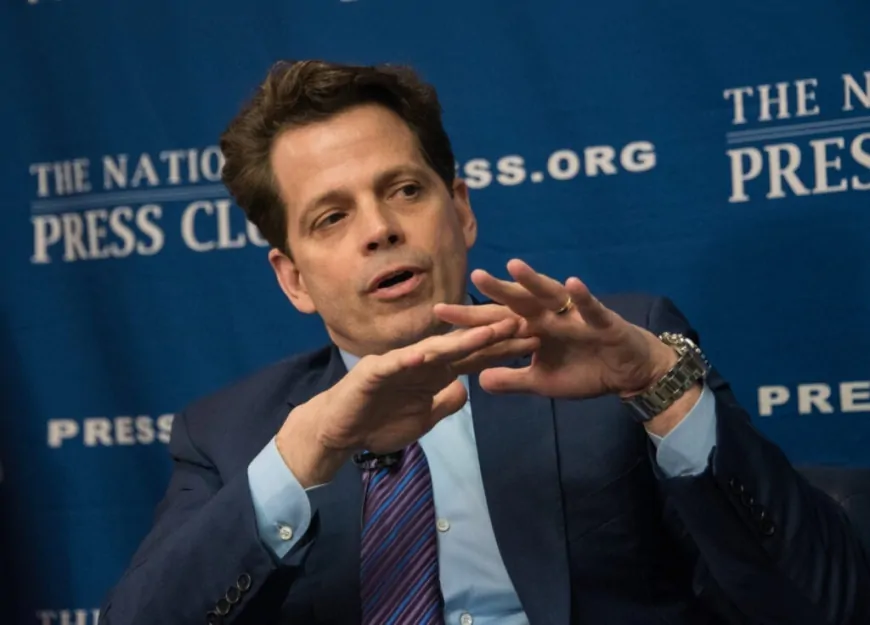 Scaramucci: Bitcoin Is a Volatile Asset, But 'Ready for Prime Time Institutional Investing'