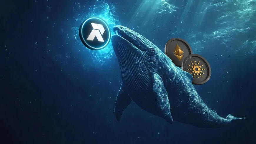 Ethereum and Cardano Whales Shift Focus to RCO Finance for 2024's Largest Altcoin Rally